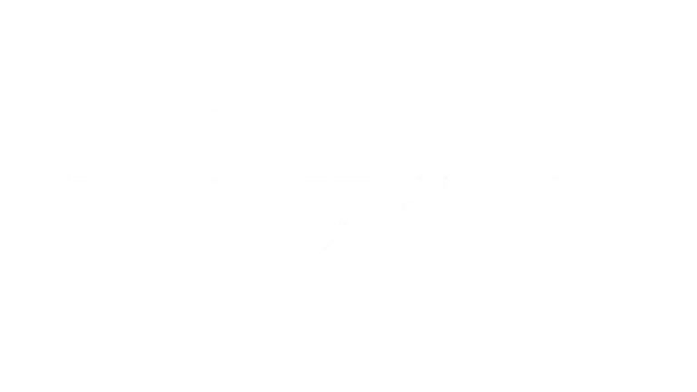 Live TV Channel Network 14